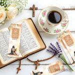 Multiple life direction Christian bookmarks fanned out - bulk scripture bookmarks for graduations and career ministry India