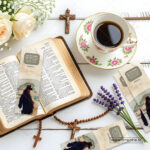 Multiple anxiety relief Christian bookmarks fanned out - bulk scripture bookmarks for counseling practices and mental health support India