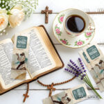 Three Matthew 6 Christian bookmarks together (verses 31, 32, 33) - complete anxiety-free living bundle trust bookmarks India